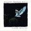 Walking Through Walls Albumcover