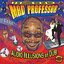 Audio Illusions of Dub! cover
