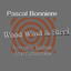 Wood Wind And Steel Albumcover