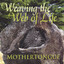 Weaving the Web of Life cover