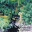 A Faerie Place Albumcover