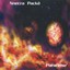 Paracelse Albumcover