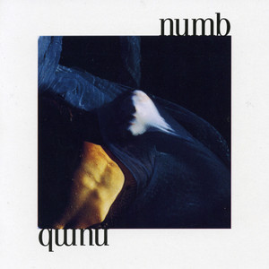 Numb cover
