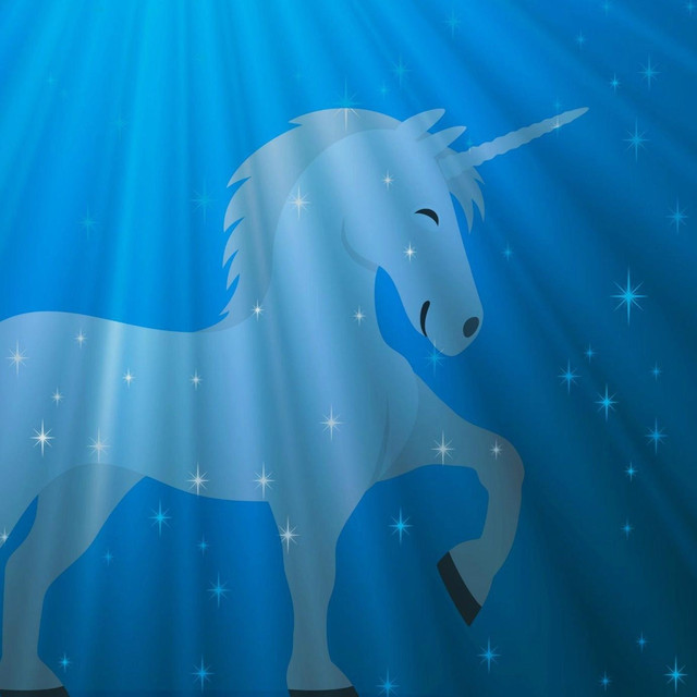 Unicorn コンサート セトリ