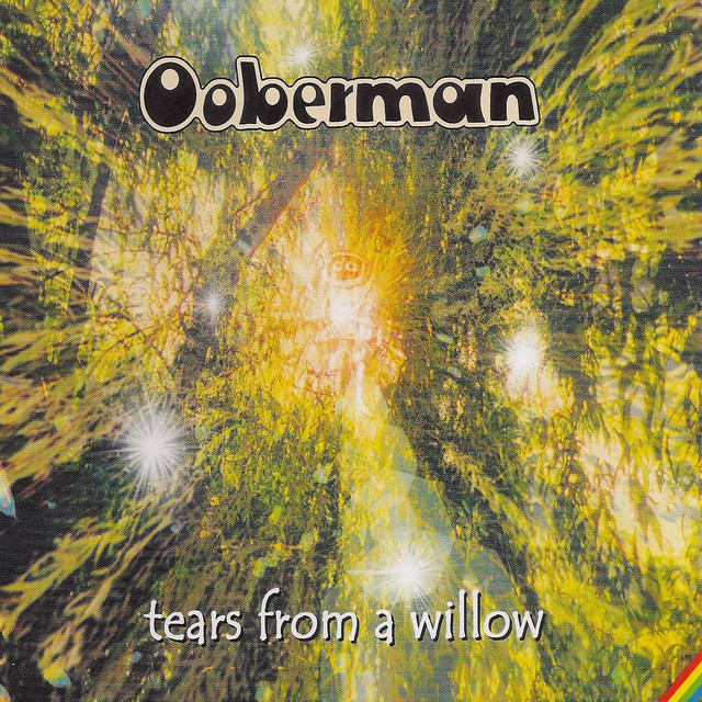 Tears From A Willow cover