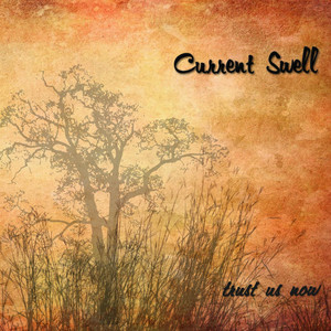 Trust Us Now cover