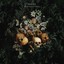 Downshifting Albumcover