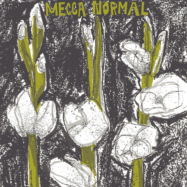 Mecca Normal cover