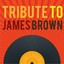 Tribute to James Brown Albumcover