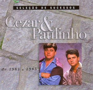 Seleção de Sucessos - 1984 / 1985 album