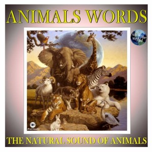 Animal Words