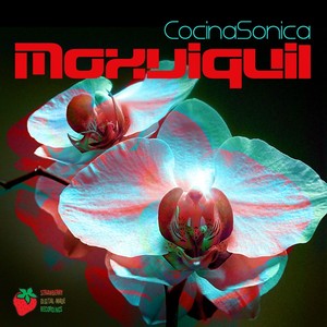 Cocinasonica