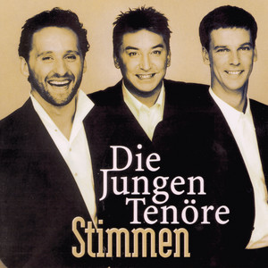 Stimmen cover
