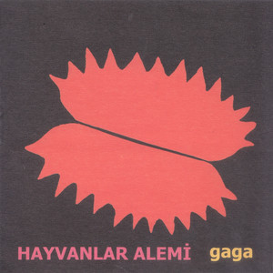 Kazan cover