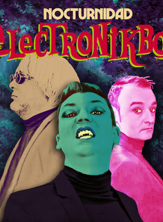 Electronikboy Photo