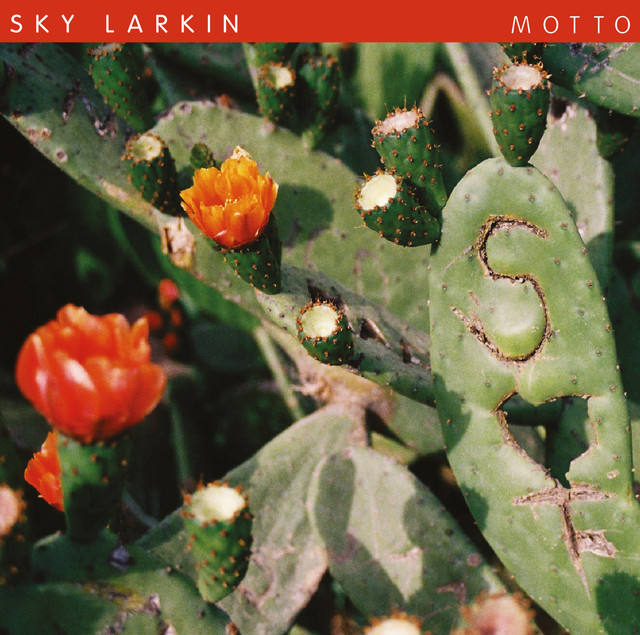 Motto cover