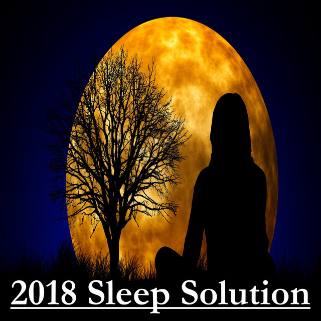2018 A Sleep Solution