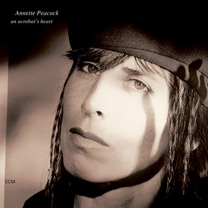 An Acrobat's Heart cover
