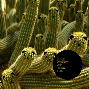 We Hear You album