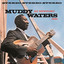 Muddy Waters at Newport/Muddy Waters Live cover