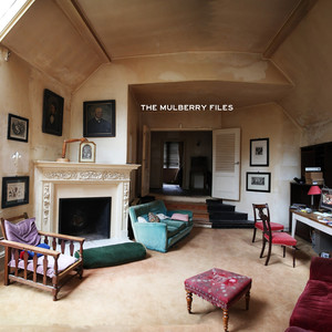 The Mulberry Files cover