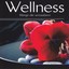 Wellness - Klänge die verzaubern Albumcover