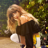Foxes Photo