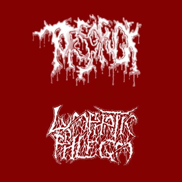 Torsofuck / Lymphatic Phlegm cover