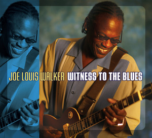 Witness to the Blues album