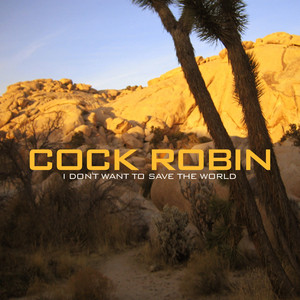 I Don't Want to Save the World cover