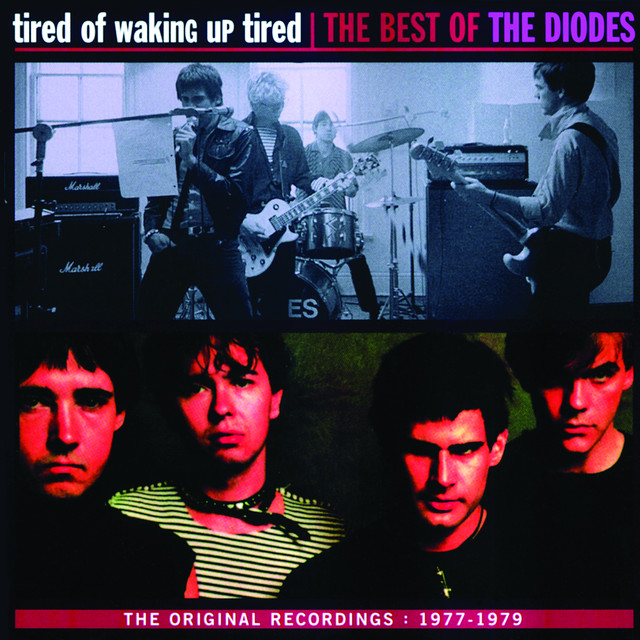 Tired Of Waking Up Tired: The Best Of The Diodes cover