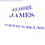 Genius Blues cover
