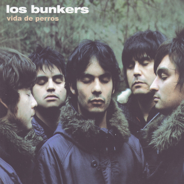 Vida De Perros cover