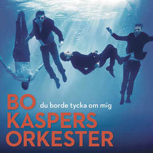 Du borde tycka om mig album