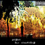 The Encounter Albumcover
