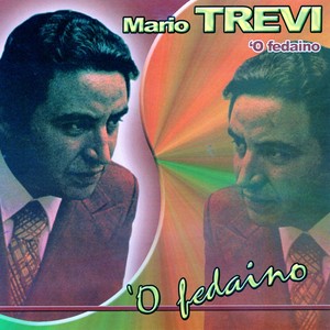 'O fedaino Albumcover