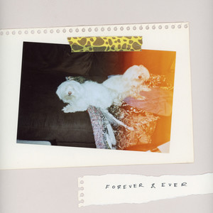 forever & ever cover
