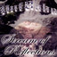 Stream Of Reflection Albumcover