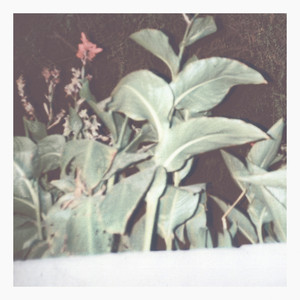 Nueva Costa Photo