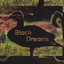 Black Dreams 1.0 Albumcover