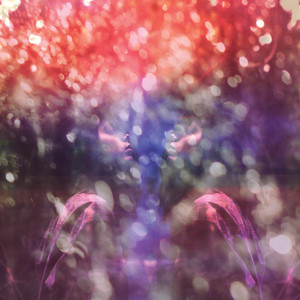 Fair Youth cover