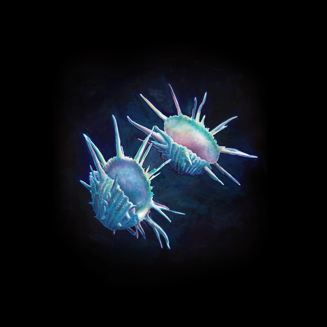 Blue cover