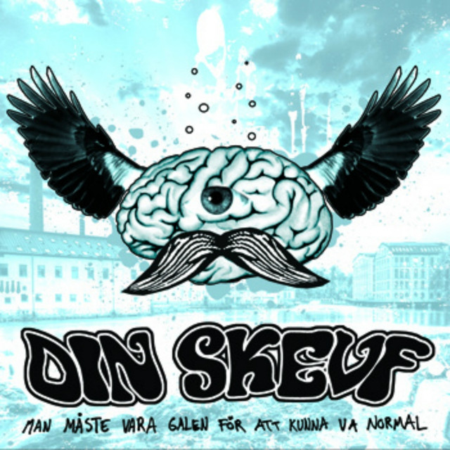 Din Skevf Photo