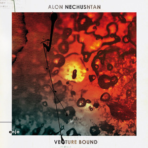 Alon Nechushtan