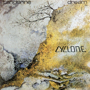 Cyclone cover