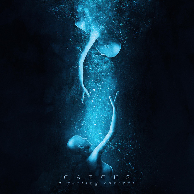 Caecus Photo