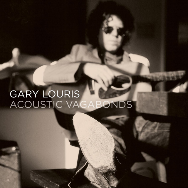 Acoustic Vagabonds cover
