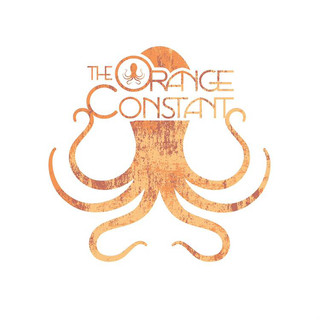 The Orange Photo