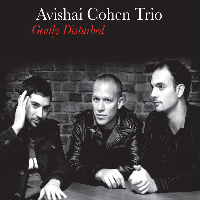 Gently Disturbed cover