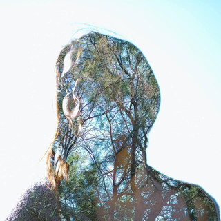 Noa Babayof Photo